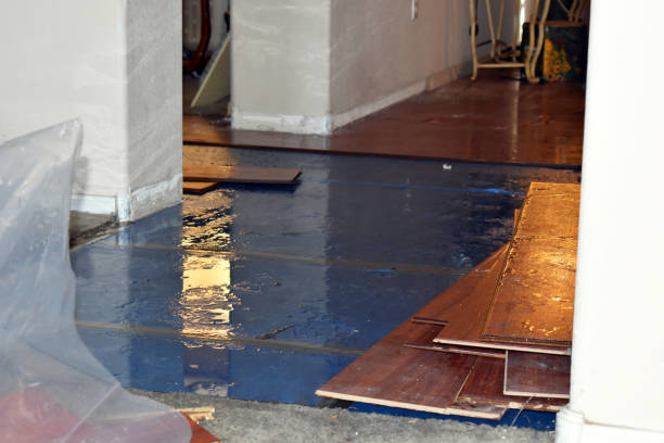 Professional Burst Pipe Cleanup technician working in Staples, TX